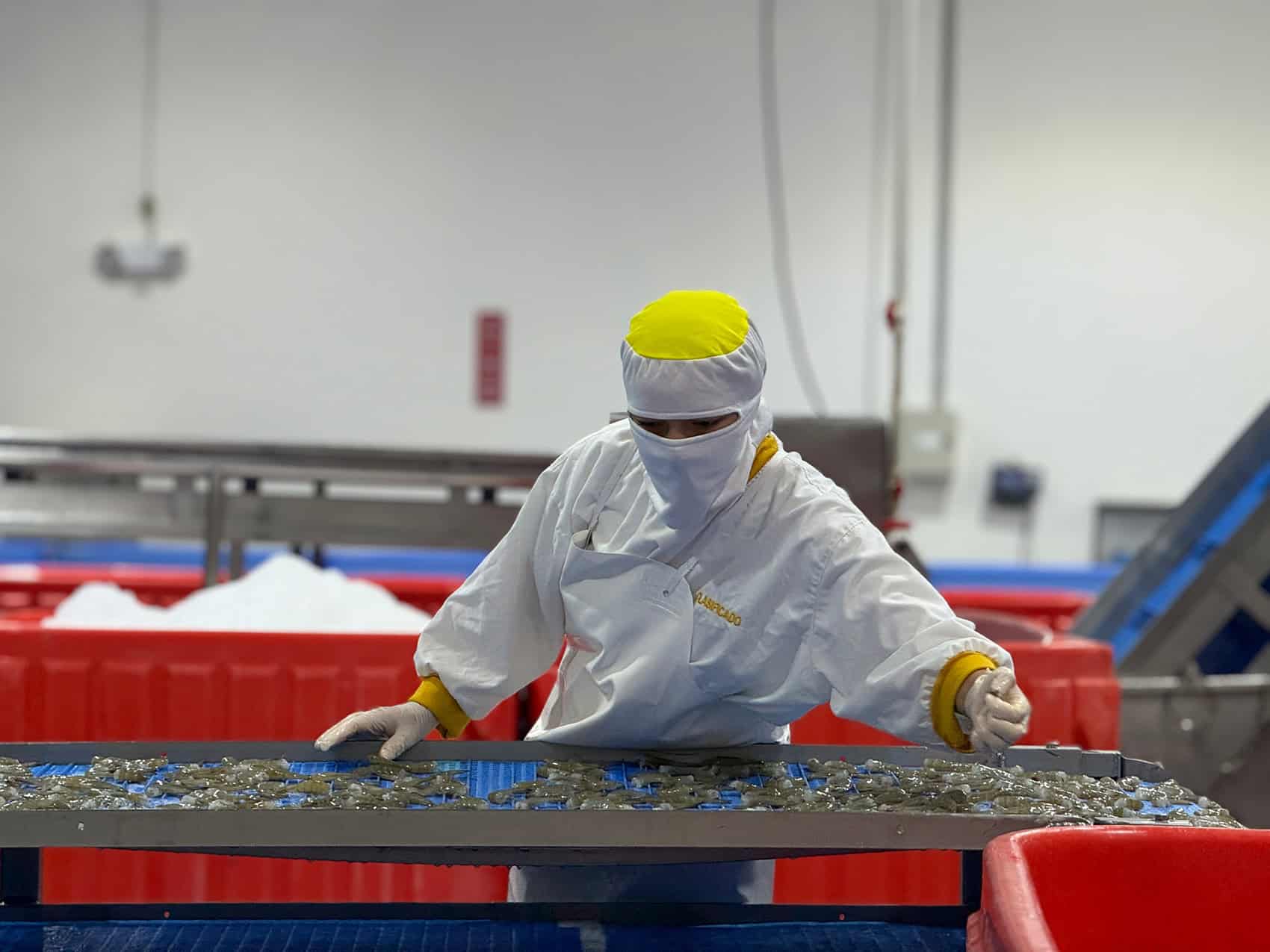 processing plants 2